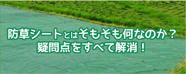 フワちゃんの初記事はこちら