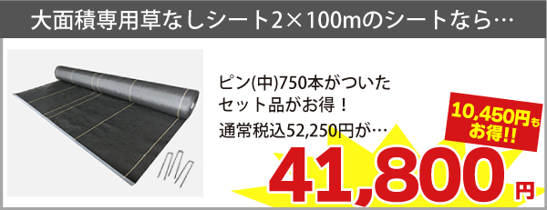 2m×100mのシートならUピン(中)750本がついたセット品がお得！税込52,250円が　⇒　税込41,800円（10,450円もお得）