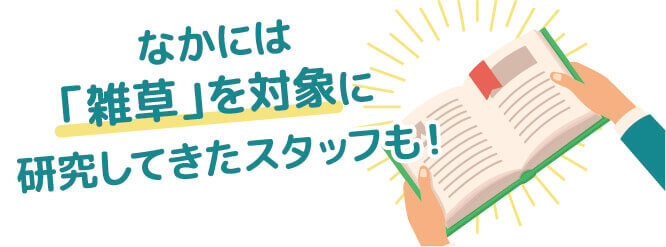 なかには「雑草」を対象に研究してきたスタッフも！