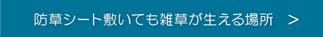 防草シート敷いても雑草が生える場所