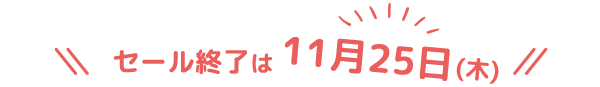 11月25日(木)