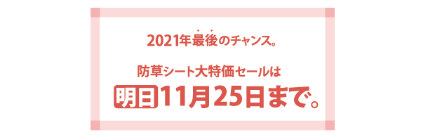 2021年最後のチャンス