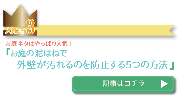 庭の泥はね