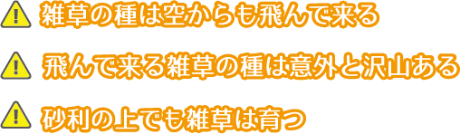 飛来種子・砂利の上でも雑草は育つ