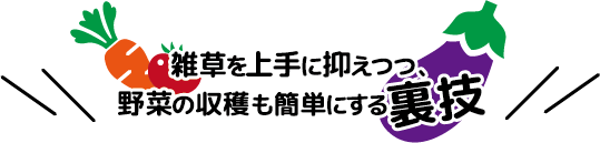 雑草を上手に抑えつつ、野菜の収穫も簡単にする裏技