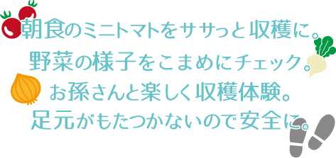 野菜の様子をこまめにチェック