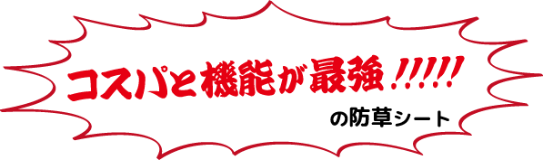 コスパと機能が最強！