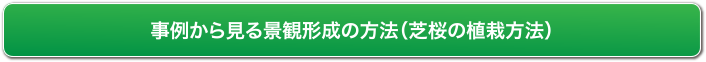 事例から見る景観形成の方法（花苗の植栽方法）