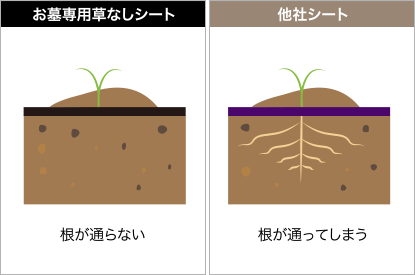 防根効果の違い