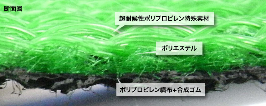 断面図