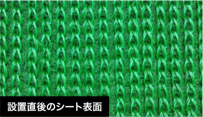 設置直後のシートの様子