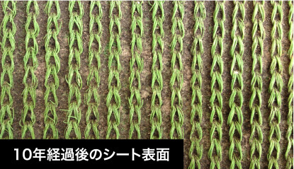 10年経過後のシートの様子