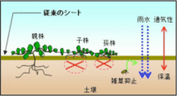従来の生分解性シートの仕組み