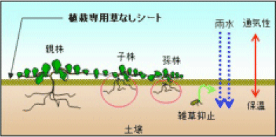土にかえる植栽専用草なしシートの仕組み