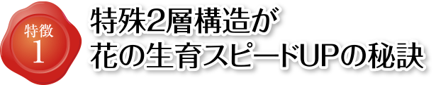 特徴1 特殊2層構造が花の生育スピードＵＰの秘訣