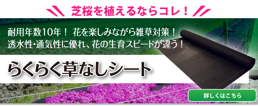 芝桜を植えるならコレ！らくらく草なしシート