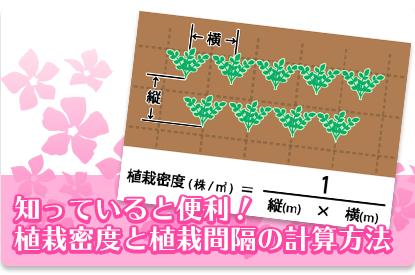 知っていると便利！  植栽密度と植栽間隔の計算方法