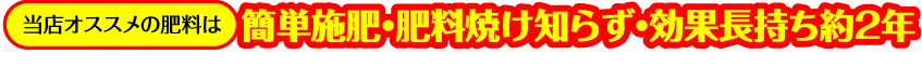 当店オススメの肥料は簡単施肥・根焼け知らず・効果長持ち約２年