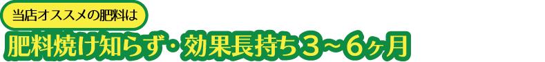 当店オススメの肥料は根焼け知らず ・ 効果長持ち約４ヶ月