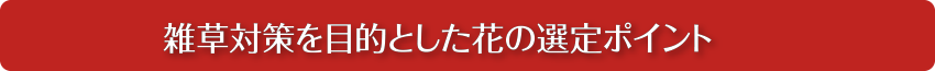 雑草対策を目的とした花の選定ポイント