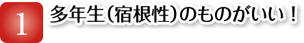 多年生(宿根性)のものがいい!