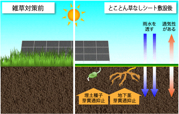 雑草対策前とことん草なしシート施工後 比較