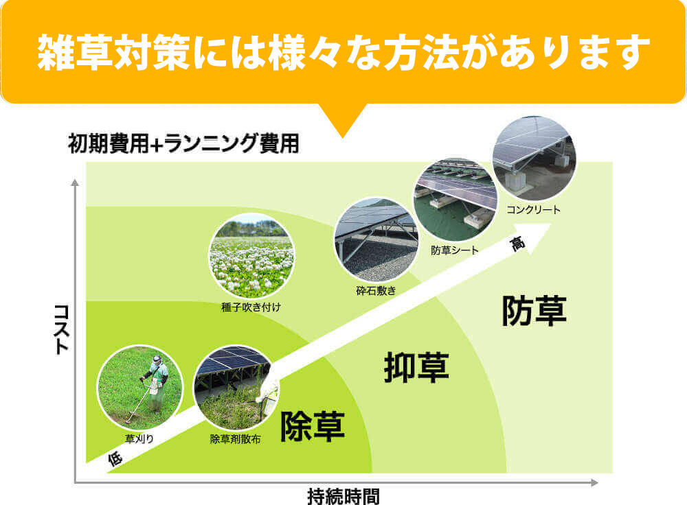 あなたはどのような対策をしていますか？一時的な対処法「除草」より根本解決「防草」がおすすめ！