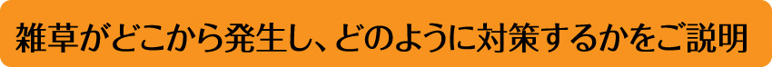 雑草がどこから発生し、そのように対策するかをご説明