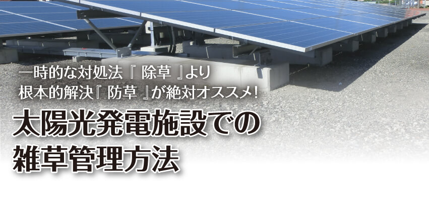 一時的な対処法 『 除草 』より根本的解決『 防草 』が絶対おすすめ！太陽光発電施設での雑草管理方法