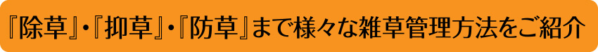 『除草』・『抑草』・『防草』まで様々な雑草管理方法をご紹介