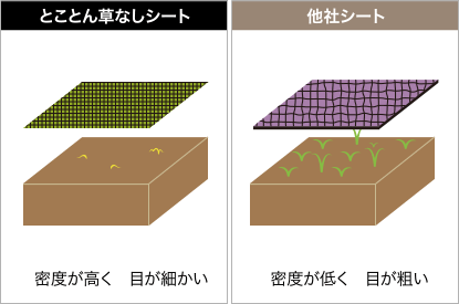 密度が違う