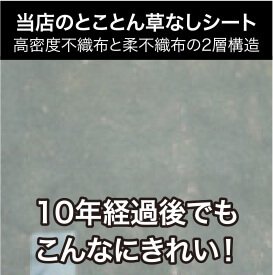 10年経過したとことん草なしシート