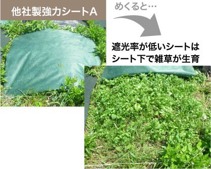 とことん草なしシート(防草シート) - 防草シート専門店