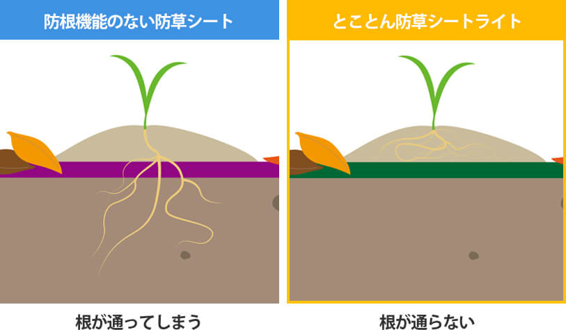 防根機能のない防草シート…根が通ってしまう。とことん防草シートライト…根が通らない。