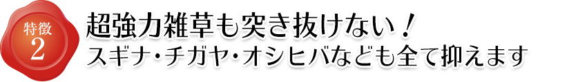 特徴2 超強力雑草も突き抜けない！スギナ、チガヤ、オシヒバなども全て抑えます