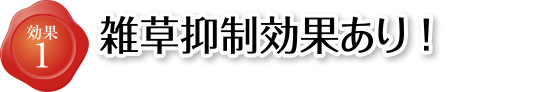 効果1 雑草抑制効果あり!