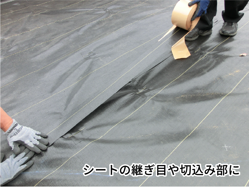 シートの継ぎ目や切り込み部に